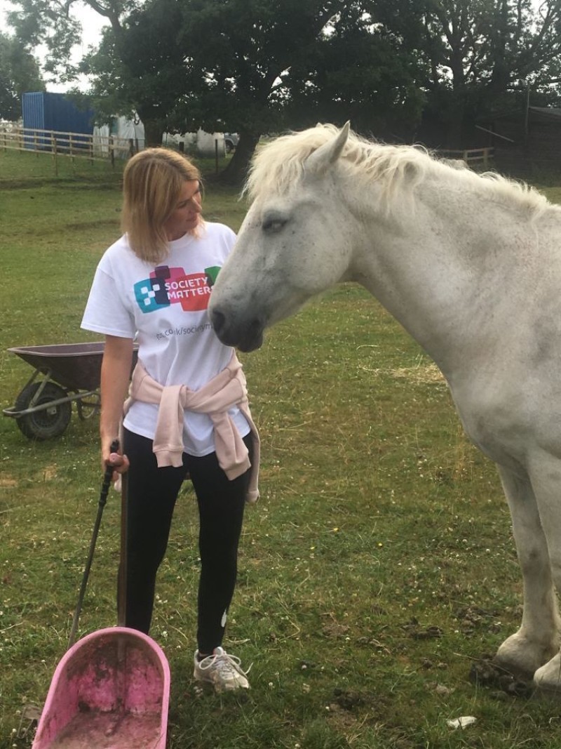 Other image for Mane event for building society staff as they help out at horse sanctuary